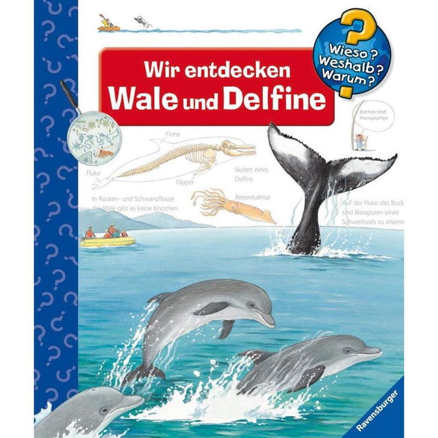 ravensburger-wieso-weshalb-warum-41-2A37C31C1.jpg