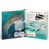 ravensburger-wieso-weshalb-warum-41-2A37C31C5.jpg