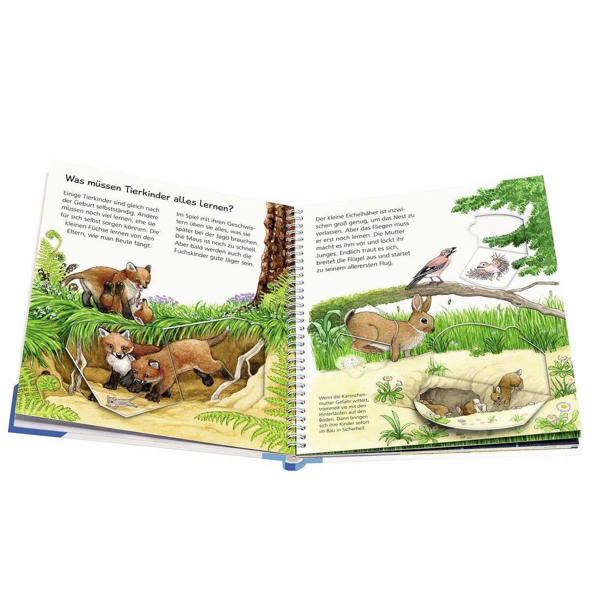 ravensburger-wieso-weshalb-warum-band-F74832853.jpg