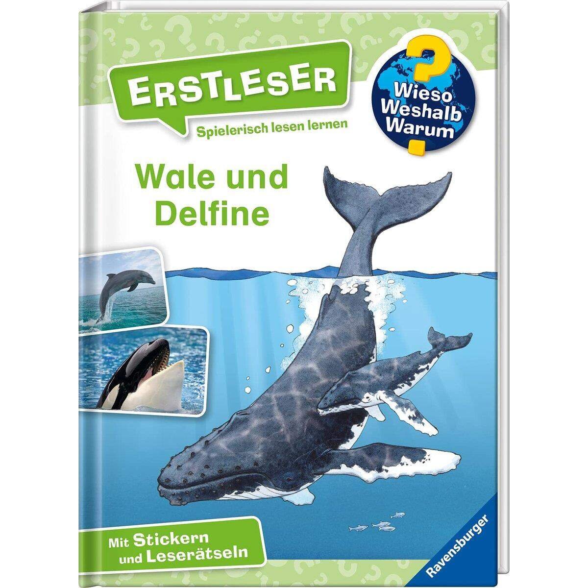 Ravensburger Wieso? Weshalb? Warum? Erstleser: Band 3 - Wale und Delfine