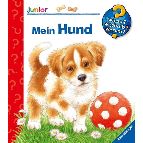 ravensburger-wieso-weshalb-warum-junior-811FA03B1.jpg
