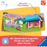 Ravensburger Wo seid ihr, kleine Kätzchen?