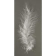 rayher-hobby-flauschfeder-weiss-15-EE60FFAB1.jpg