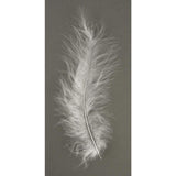 rayher-hobby-flauschfeder-weiss-15-EE60FFAB2.jpg