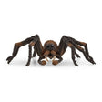 schleich-13987-wizarding-world-harry-80E7AD891.jpg