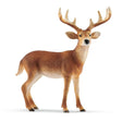 schleich-14818-weisswedelhirsch-8A29FBAE1.jpg
