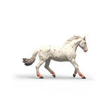 schleich-14917-horse-club-knabstrupper-641CEDE12.jpg