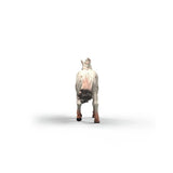 schleich-14917-horse-club-knabstrupper-641CEDE13.jpg
