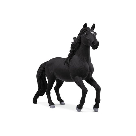 schleich-14918-horse-club-lusitano-7935E0B21.jpg