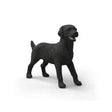 schleich-14923-farm-world-schwarzer-545937951.jpg