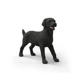 schleich-14923-farm-world-schwarzer-545937951.jpg
