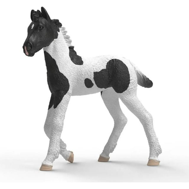 schleich-81481-sammelfohlen-rocky-28ECC5E51.jpg