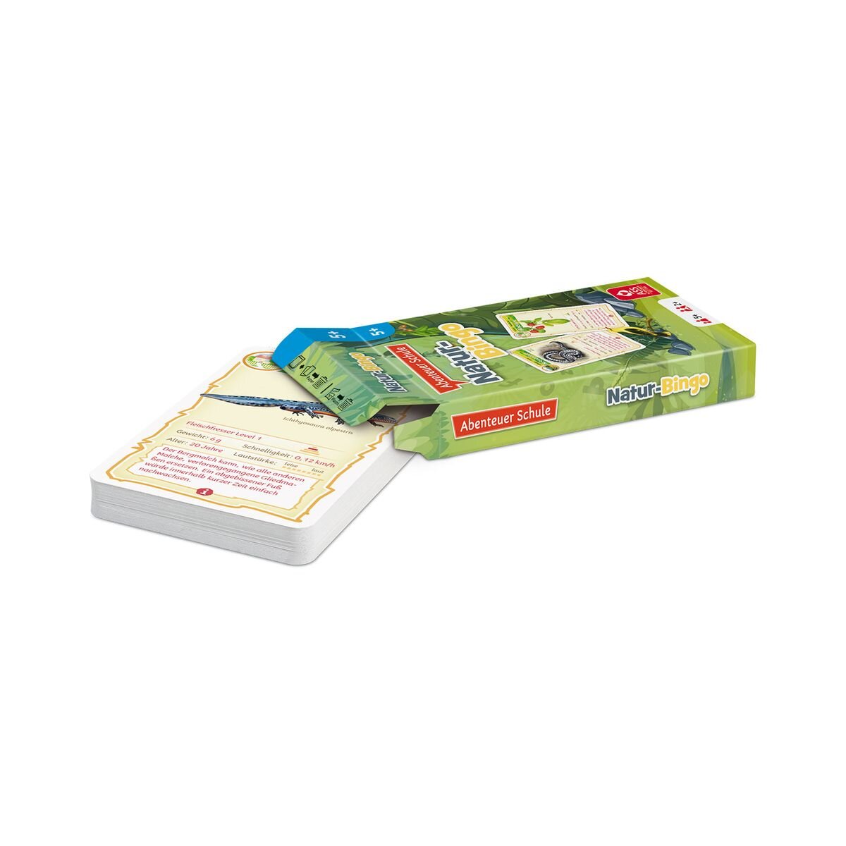 Shuffle Abenteuer Schule - Natur-Bingo