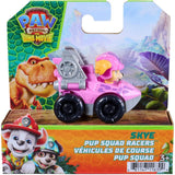 spin-master-paw-patrol-dino-0B84DF665.jpg