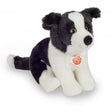 teddy-hermann-border-collie-welpe-E214B1791.jpg