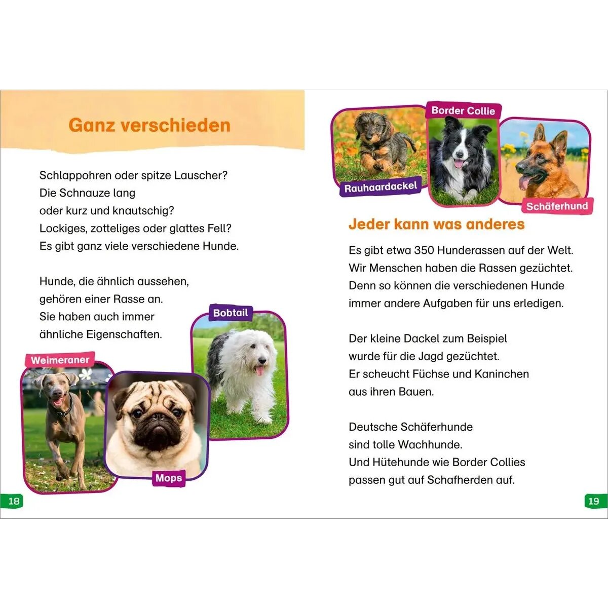 tessloff-was-ist-was-erstes-85A542E74.jpg