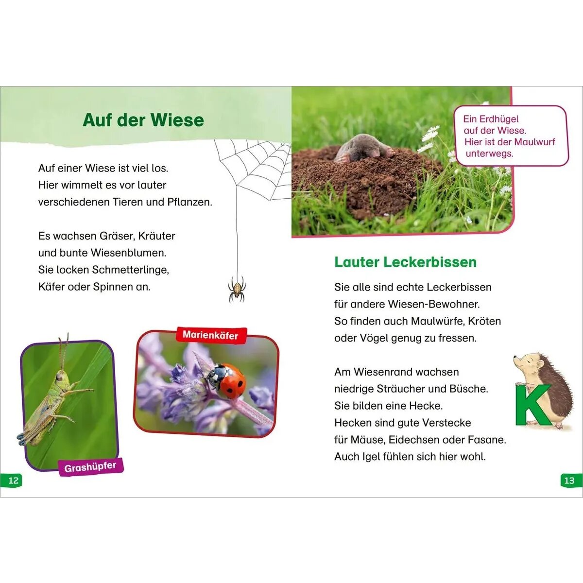 tessloff-was-ist-was-erstes-DEA5352D3.jpg