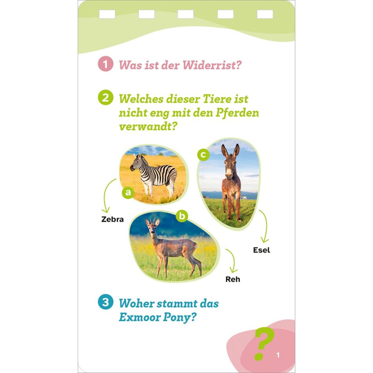 tessloff-was-ist-was-quiz-1BE0BB4C2.jpg