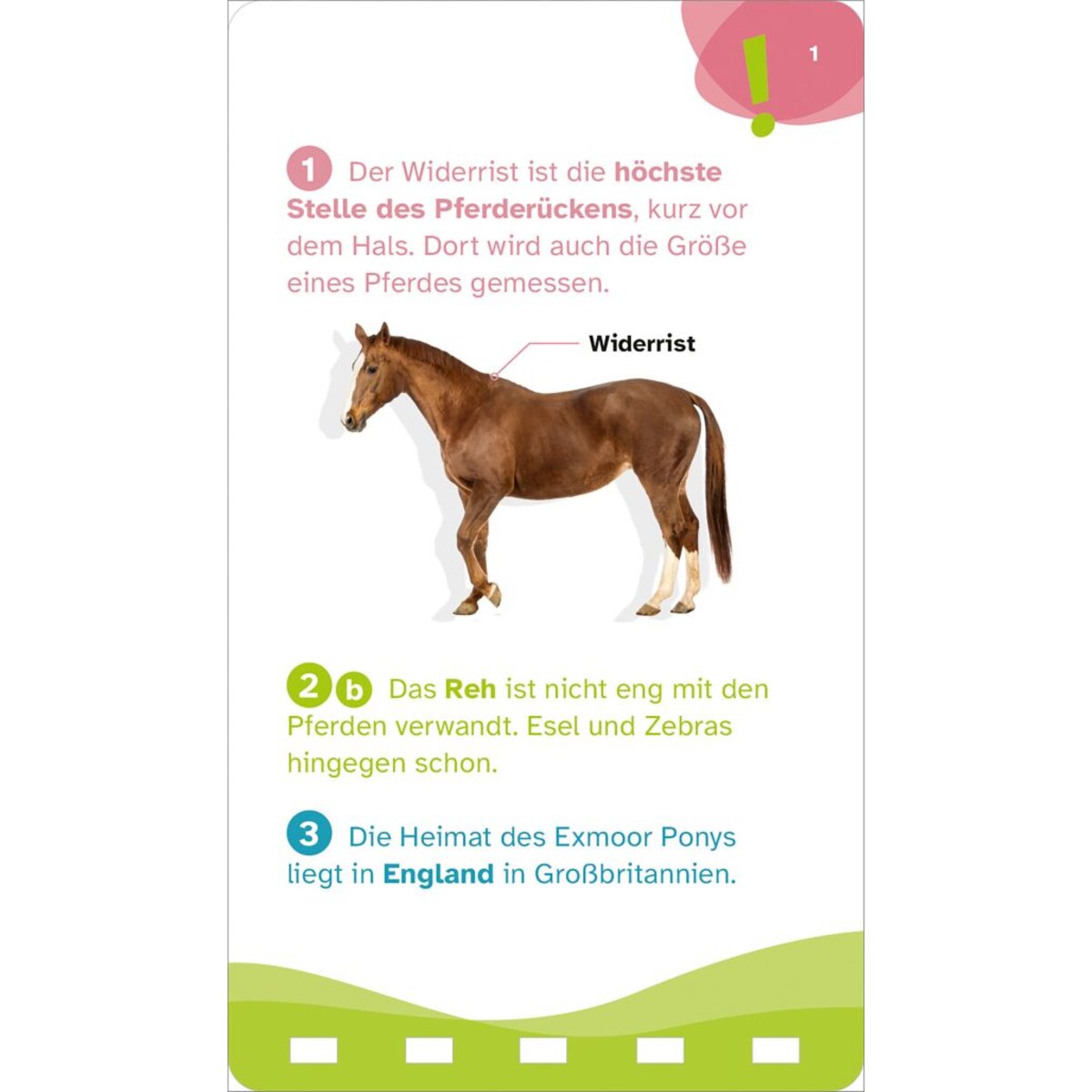 tessloff-was-ist-was-quiz-1BE0BB4C3.jpg