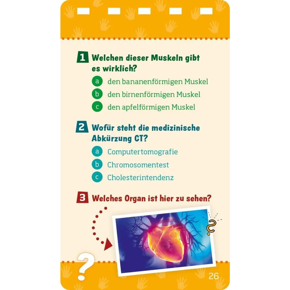 Tessloff WAS IST WAS Quiz Körper