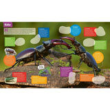 tessloff-was-ist-was-stickerheft-4F60D61F4.jpg