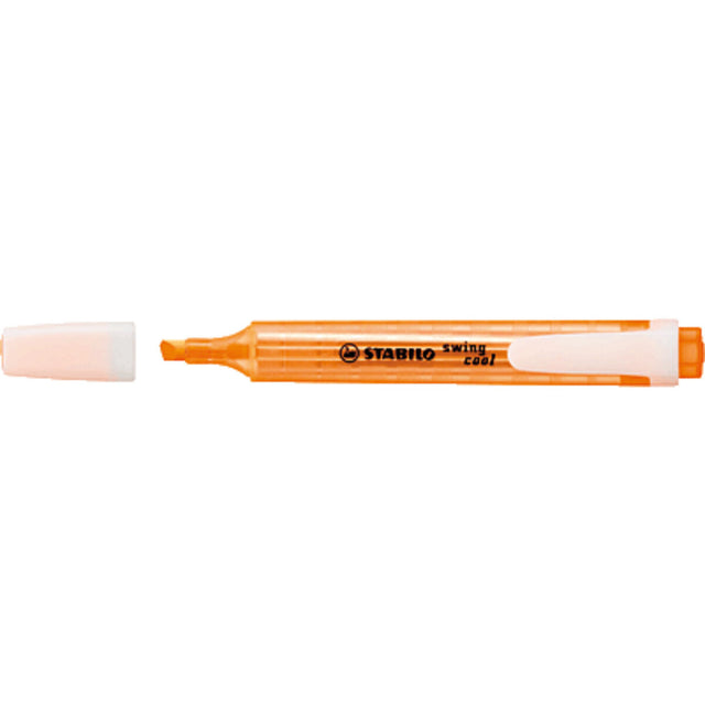 textmarker---stabilo-swing-3F17DAE41.jpg