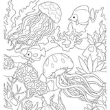 topp-colorful-secrets-faszination-meer-F8469AAD4.jpg