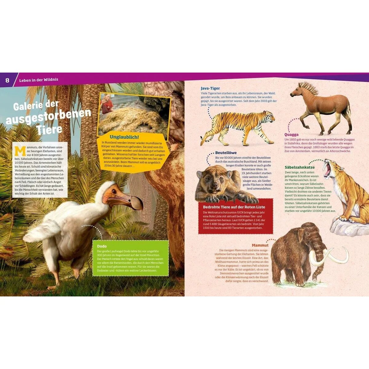 was-ist-was-wilde-tiere-54F877005.jpg