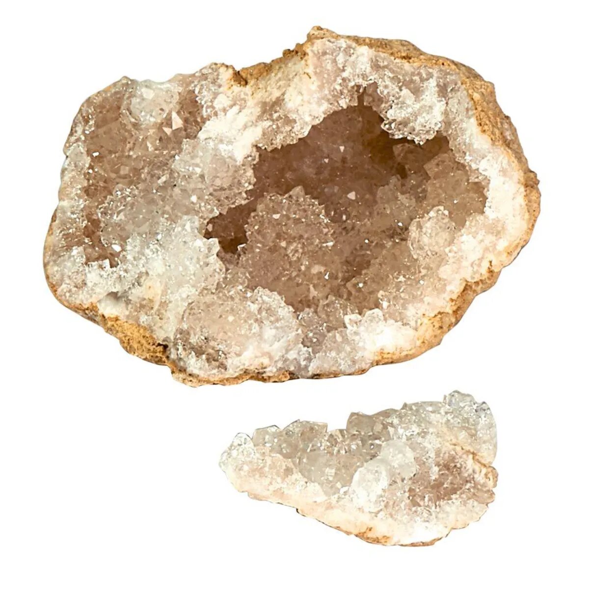 moses. Expedition Natur - Das große Geoden-Entdecker-Set