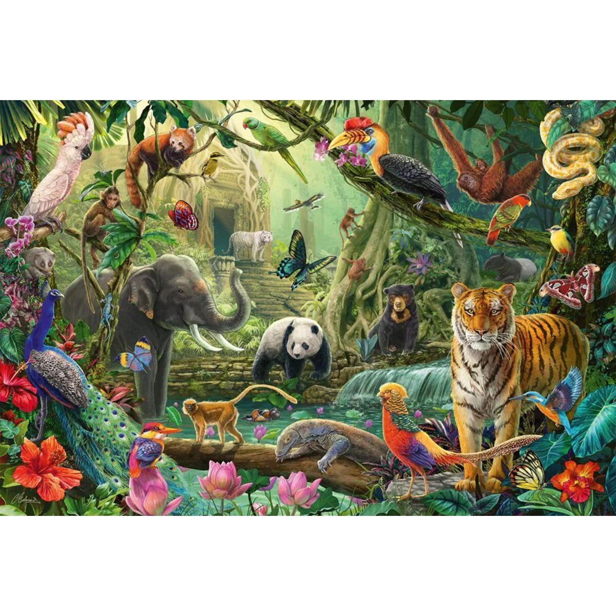 Schmidt Spiele Puzzle - Bunte Tierwelt im Dschungel, 100 Teile