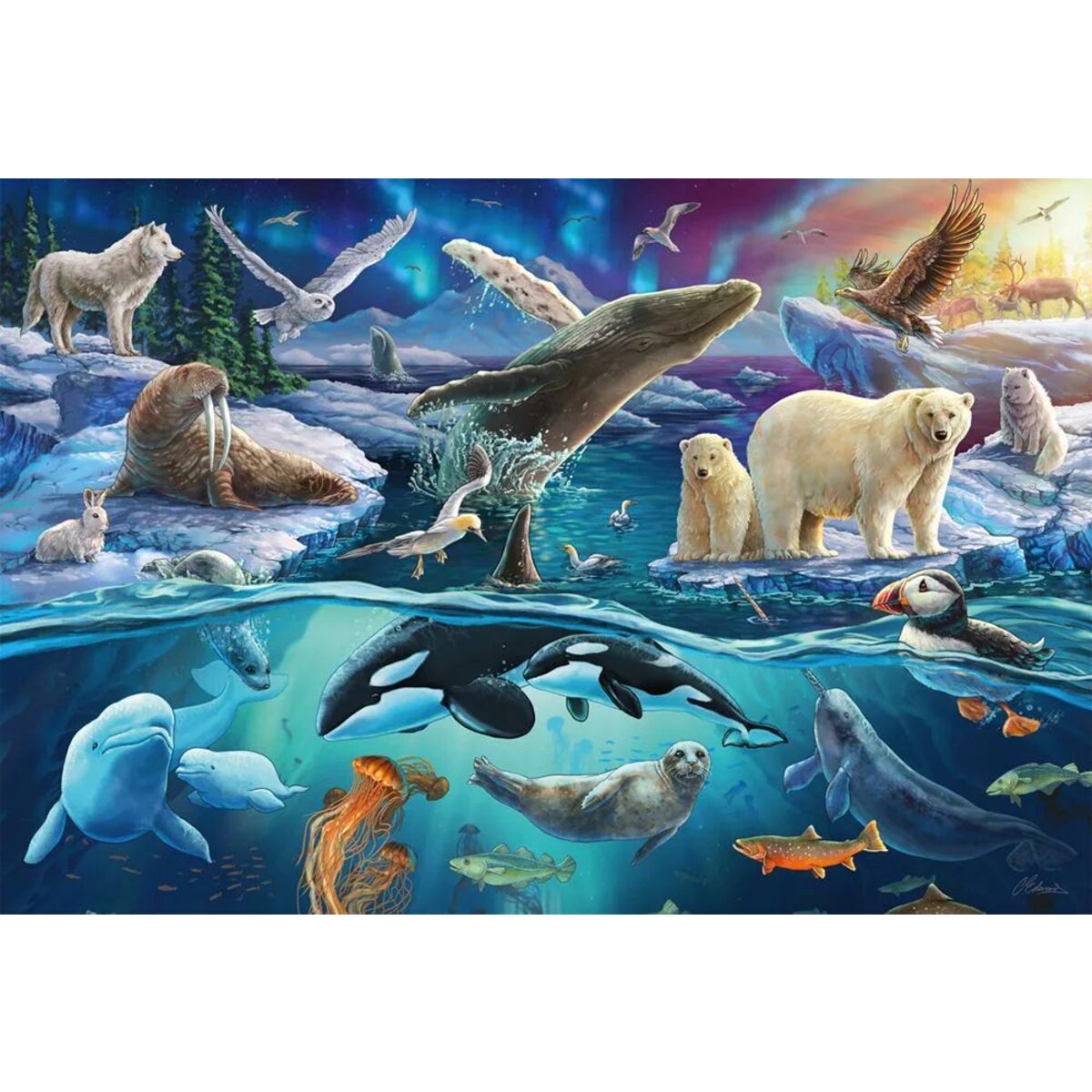 Schmidt Spiele Puzzle - Tiere in der Arktis, 150 Teile