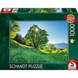 Schmidt Spiele Puzzle - Berg-Ahorn im Sonnenlicht – St. Gallen, Schweiz, 1.000 Teile